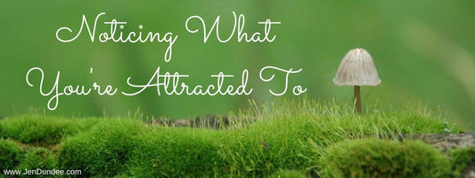 What’s one thing you feel drawn to, yet also feel scared to pursue?