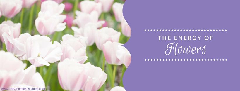 The Energy of Flowers