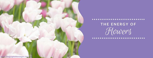 The Energy of Flowers