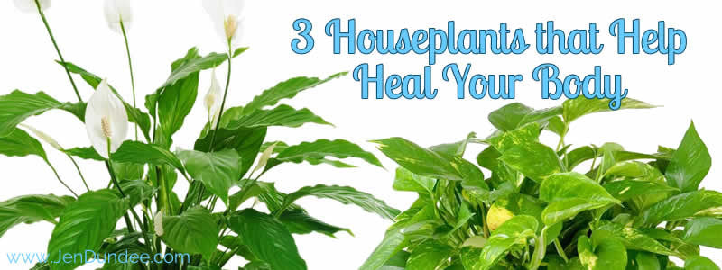 3 Houseplants that Help Heal Your Body