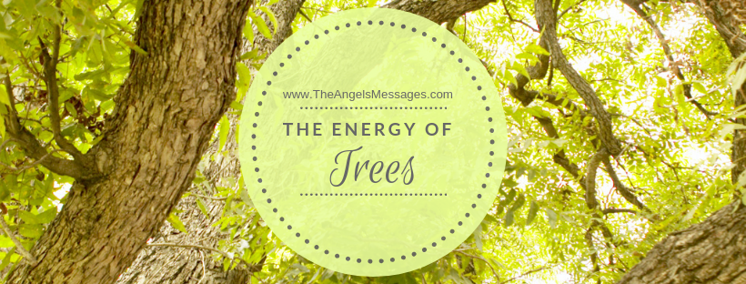 The Energy of Trees