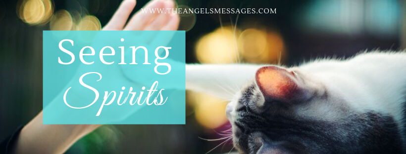 Seeing The Spirits of Animals