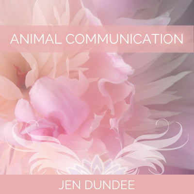 How to Communicate with Animals